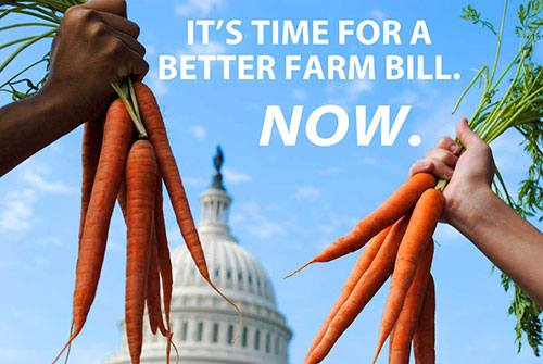 Advocate for a more just Farm Bill!